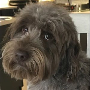 Meet your Posher, Kelsey